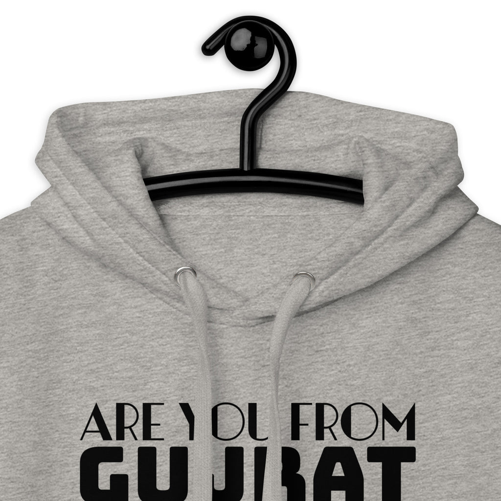 Are_you_from_Gujrat_DMERCHS_Hoodie