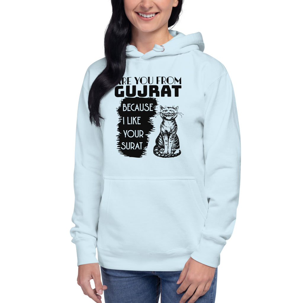 Are_you_from_Gujrat_DMERCHS_Hoodie