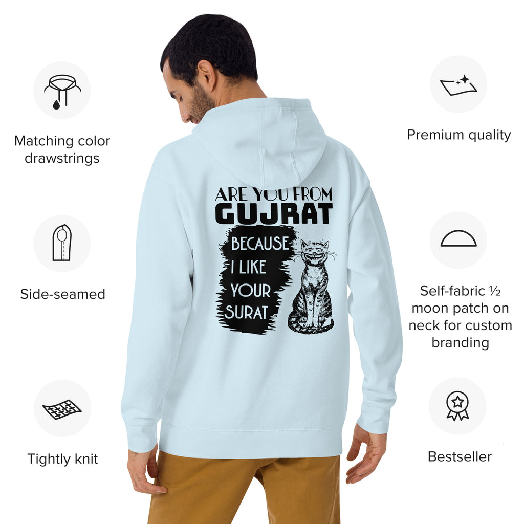 Are_you_from_Gujrat_DMERCHS_Hoodie