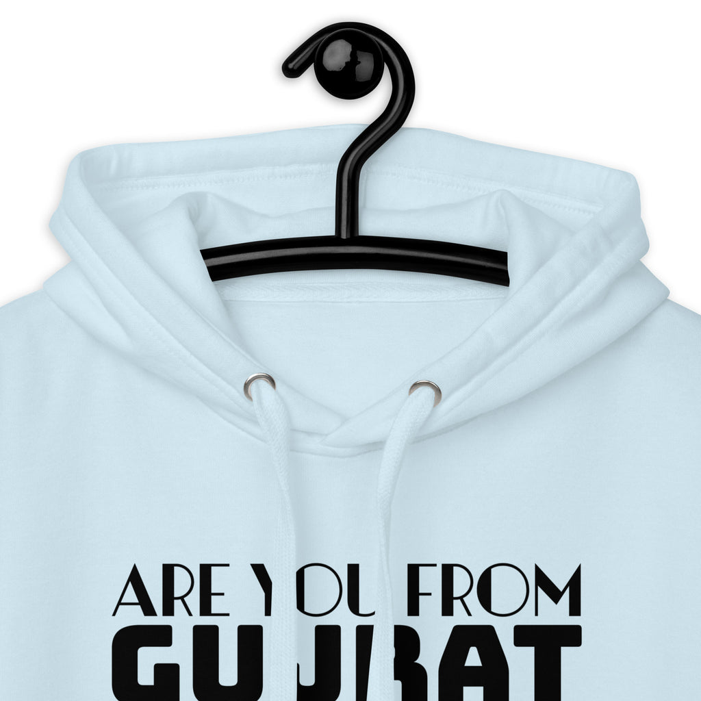 Are_you_from_Gujrat_DMERCHS_Hoodie