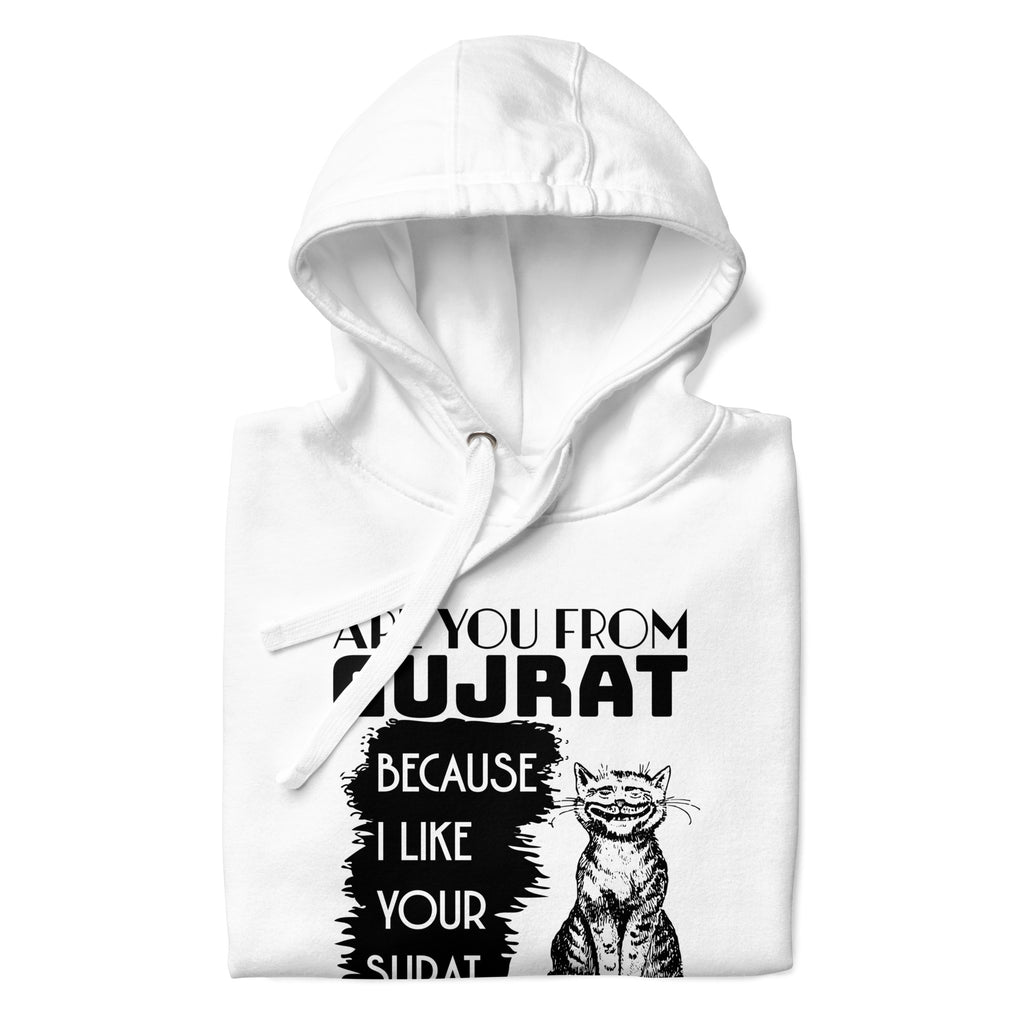 Are_you_from_Gujrat_DMERCHS_Hoodie