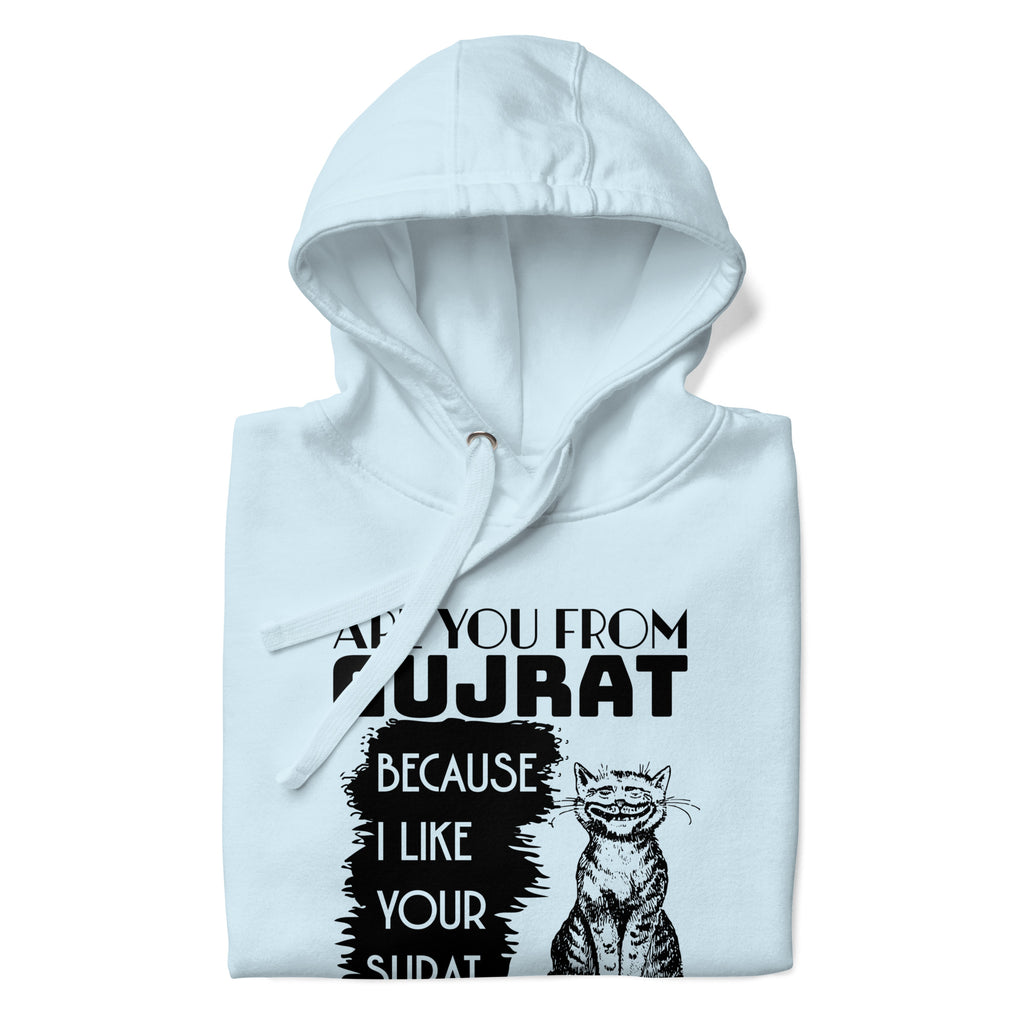 Are_you_from_Gujrat_DMERCHS_Hoodie