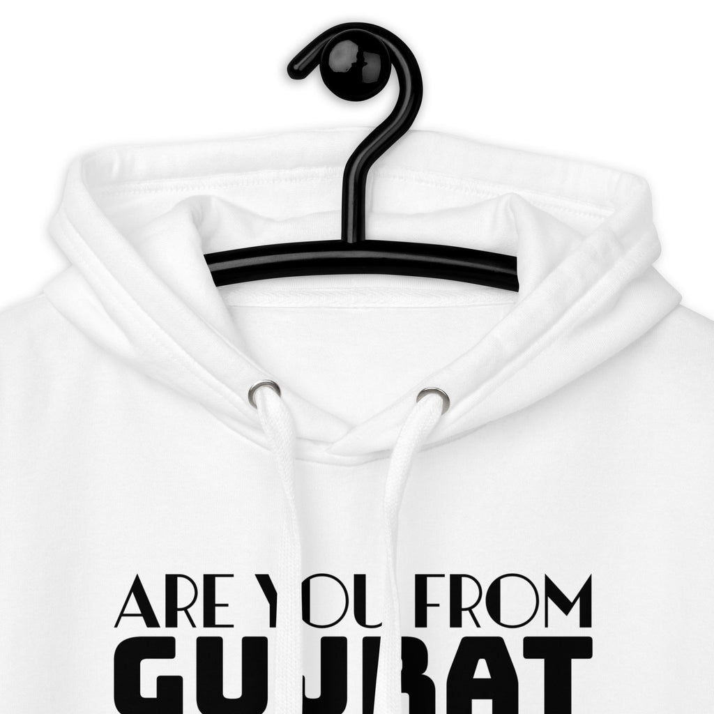 Are_you_from_Gujrat_DMERCHS_Hoodie