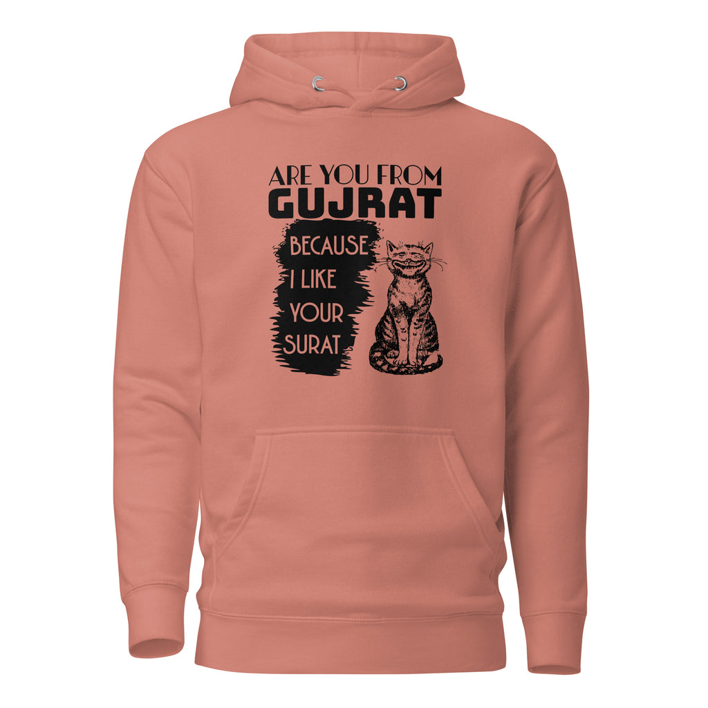 Are_you_from_Gujrat_DMERCHS_Hoodie