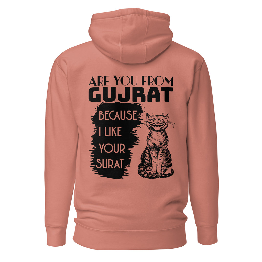 Are_you_from_Gujrat_DMERCHS_Hoodie