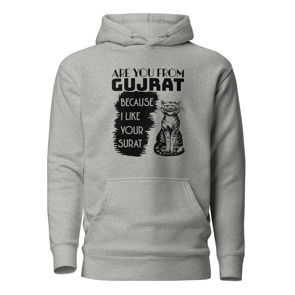 Are_you_from_Gujrat_DMERCHS_Hoodie