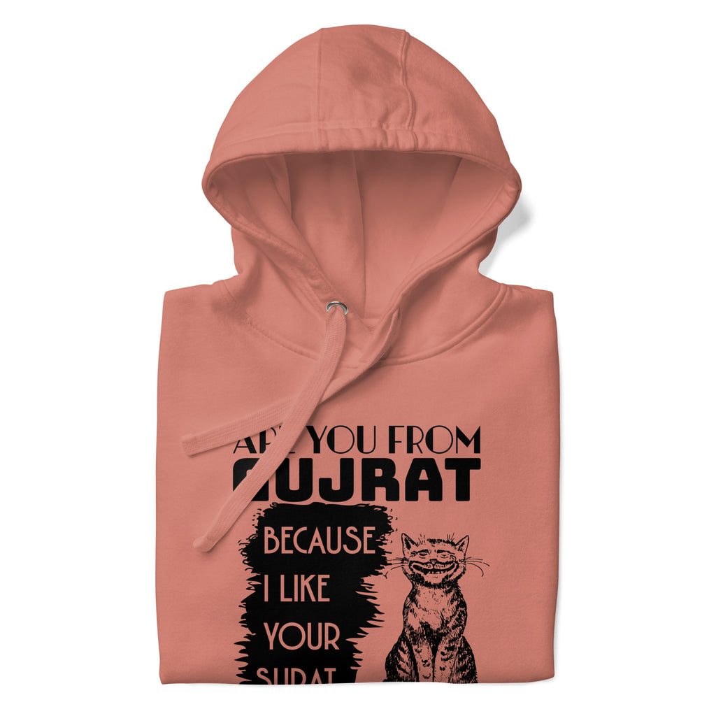 Are_you_from_Gujrat_DMERCHS_Hoodie