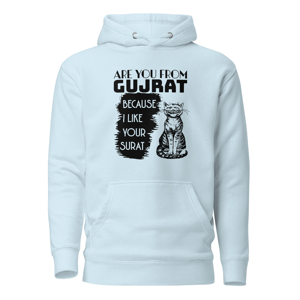 Are_you_from_Gujrat_DMERCHS_Hoodie