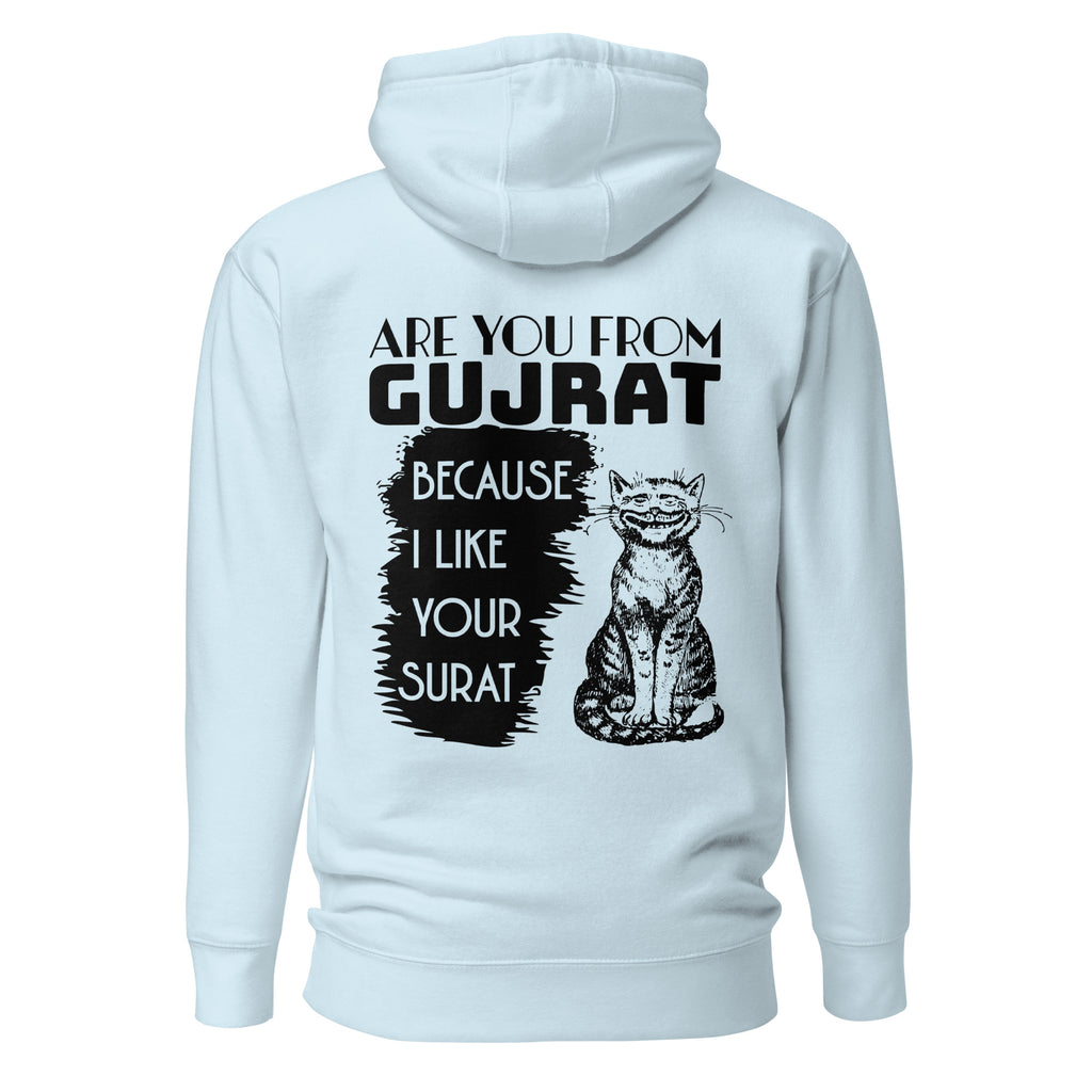 Are_you_from_Gujrat_DMERCHS_Hoodie