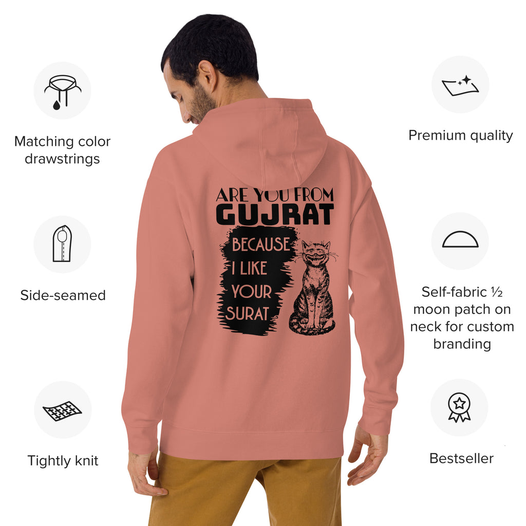 Are_you_from_Gujrat_DMERCHS_Hoodie