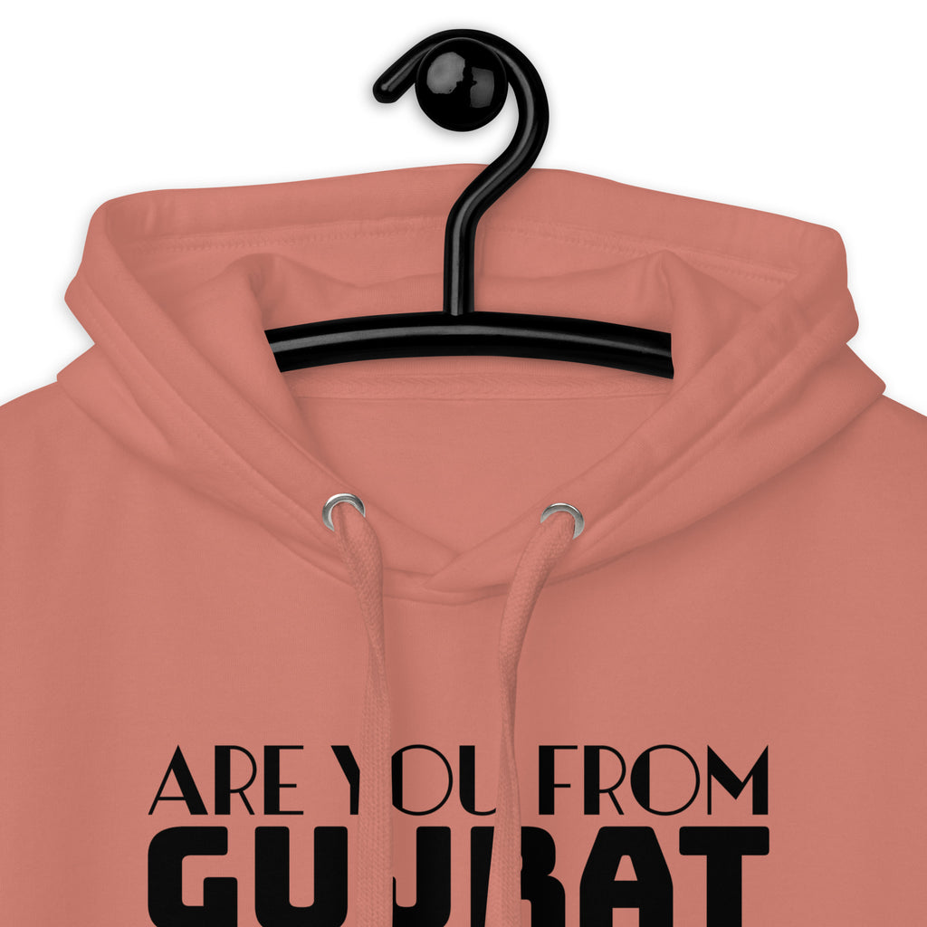 Are_you_from_Gujrat_DMERCHS_Hoodie