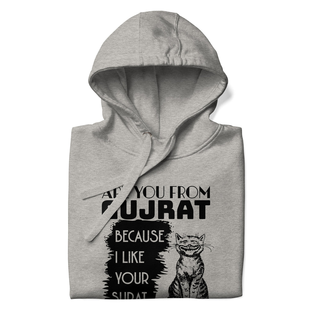 Are_you_from_Gujrat_DMERCHS_Hoodie