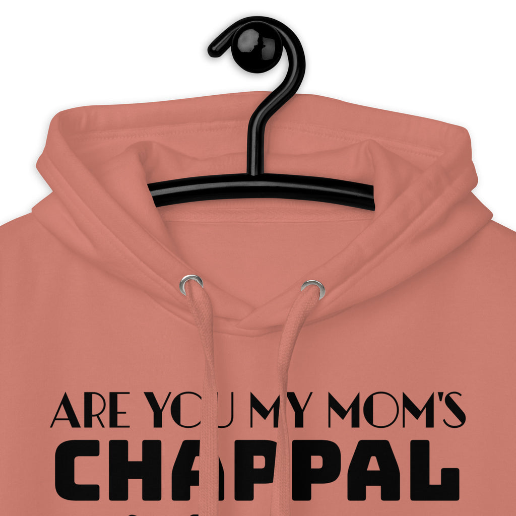 Are_you_my_mom's_chappal_DMERCHS_Hoodie