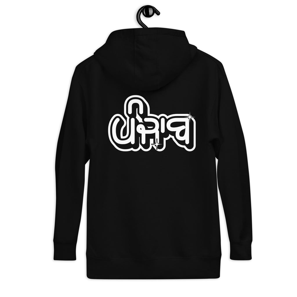 Punjab_Gurmukhi_streetwear_DMERCHS_Hoodie