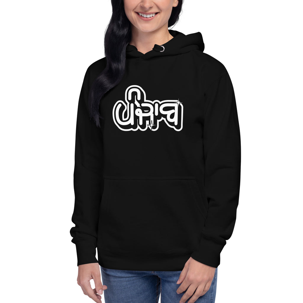 Punjab_Gurmukhi_streetwear_DMERCHS_Hoodie