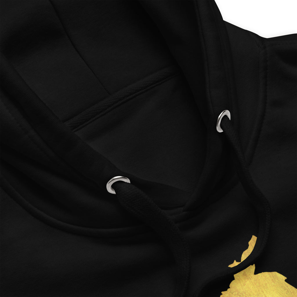 Punjab_front_and_back_DMERCHS_Hoodie