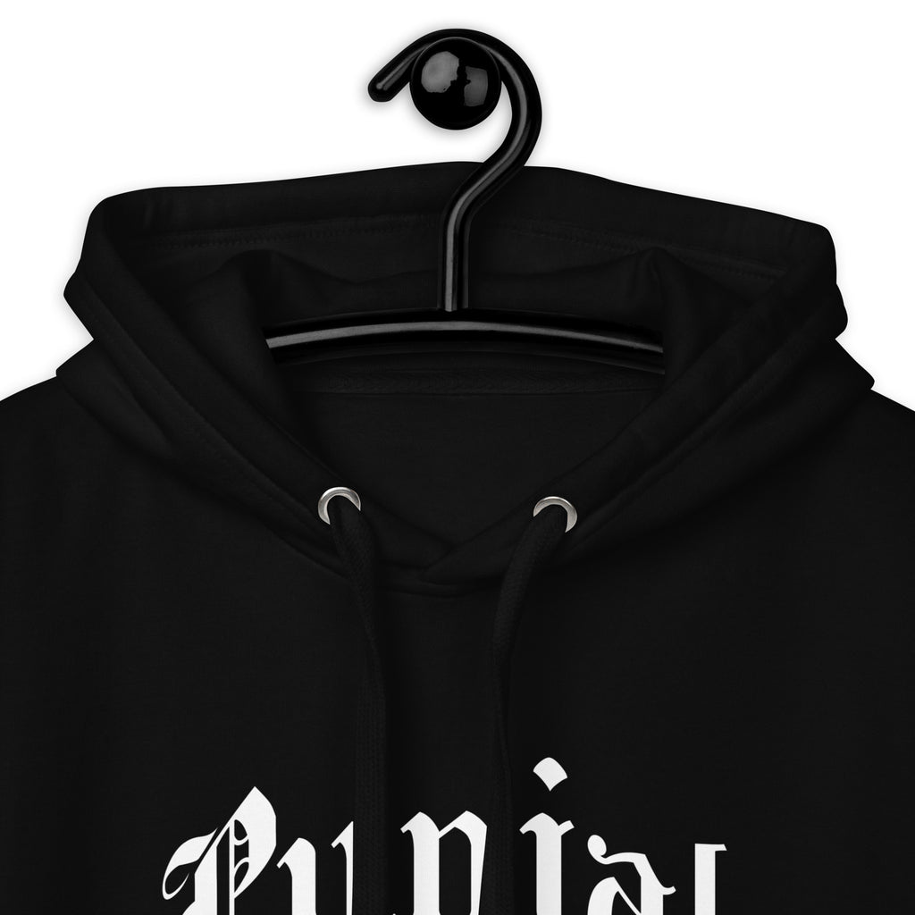 Punjab_gurmukhi_DMERCHS_Hoodie