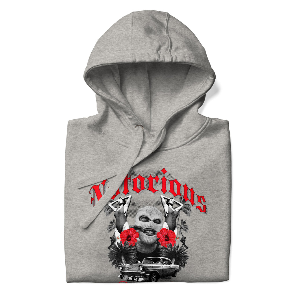 Notorious_Punjabi_DMERCHS_Hoodie