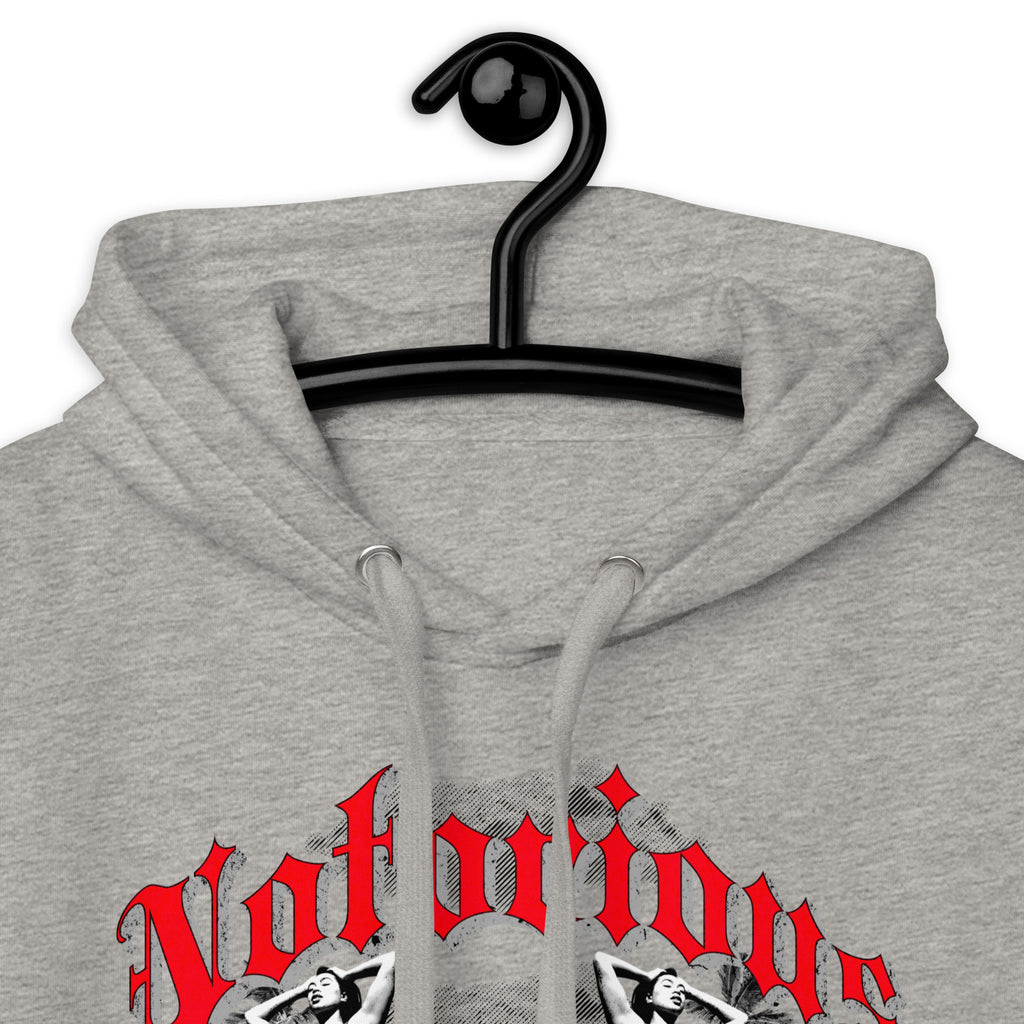 Notorious_Punjabi_DMERCHS_Hoodie