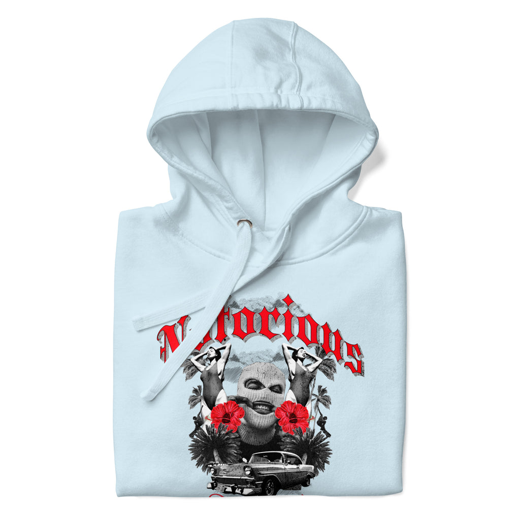 Notorious_Punjabi_DMERCHS_Hoodie