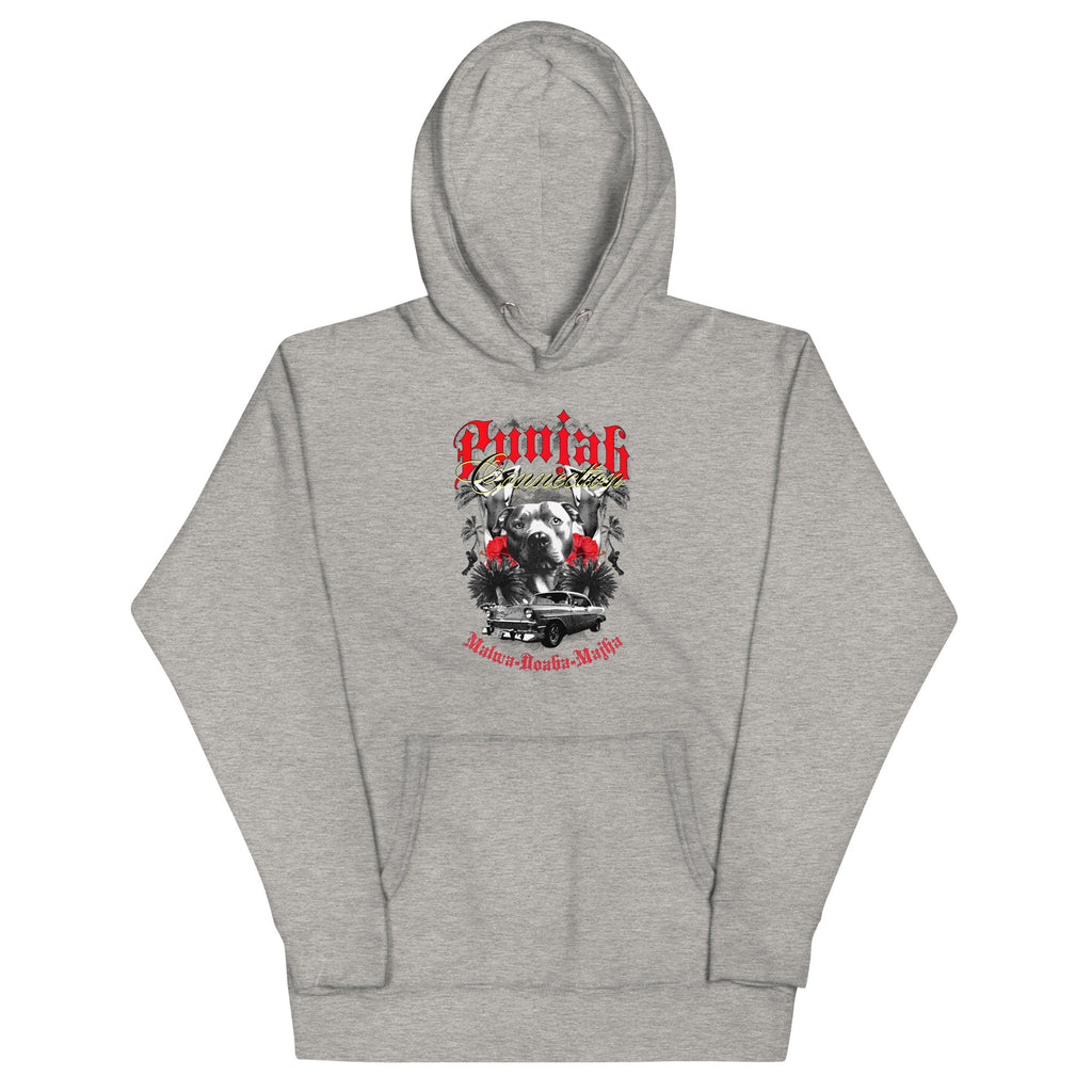 Punjab_Connection_DMERCHS_Hoodie