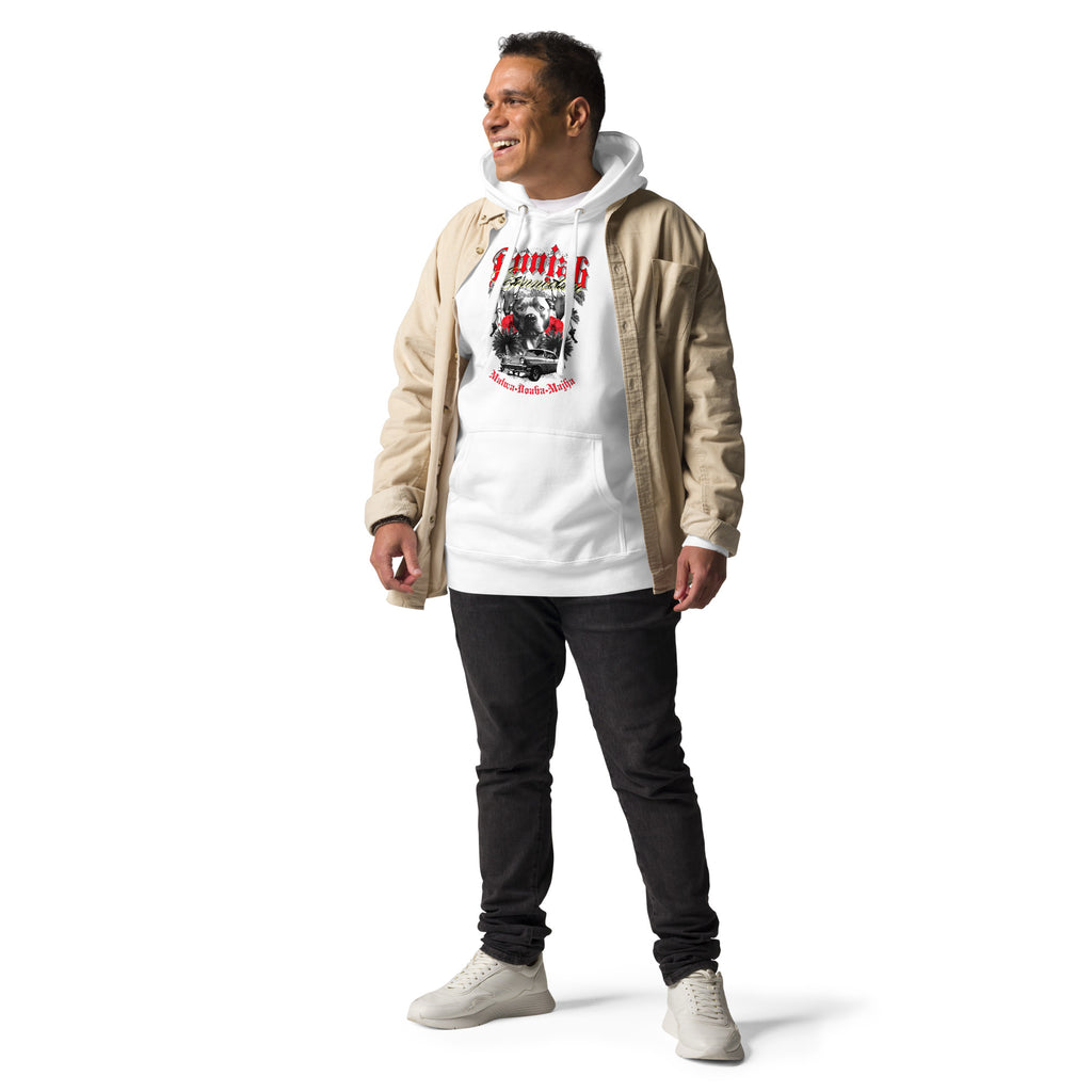 Punjab_Connection_DMERCHS_Hoodie