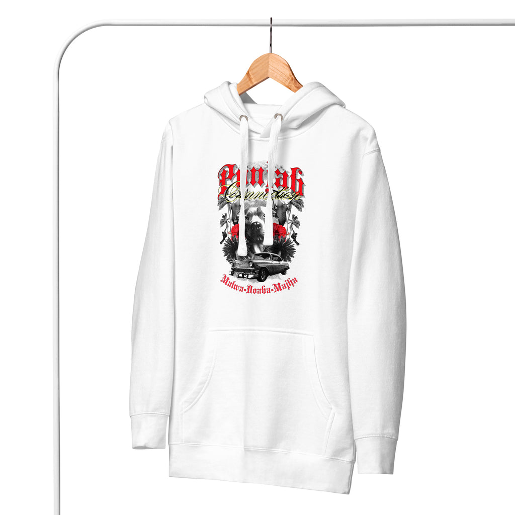 Punjab_Connection_DMERCHS_Hoodie