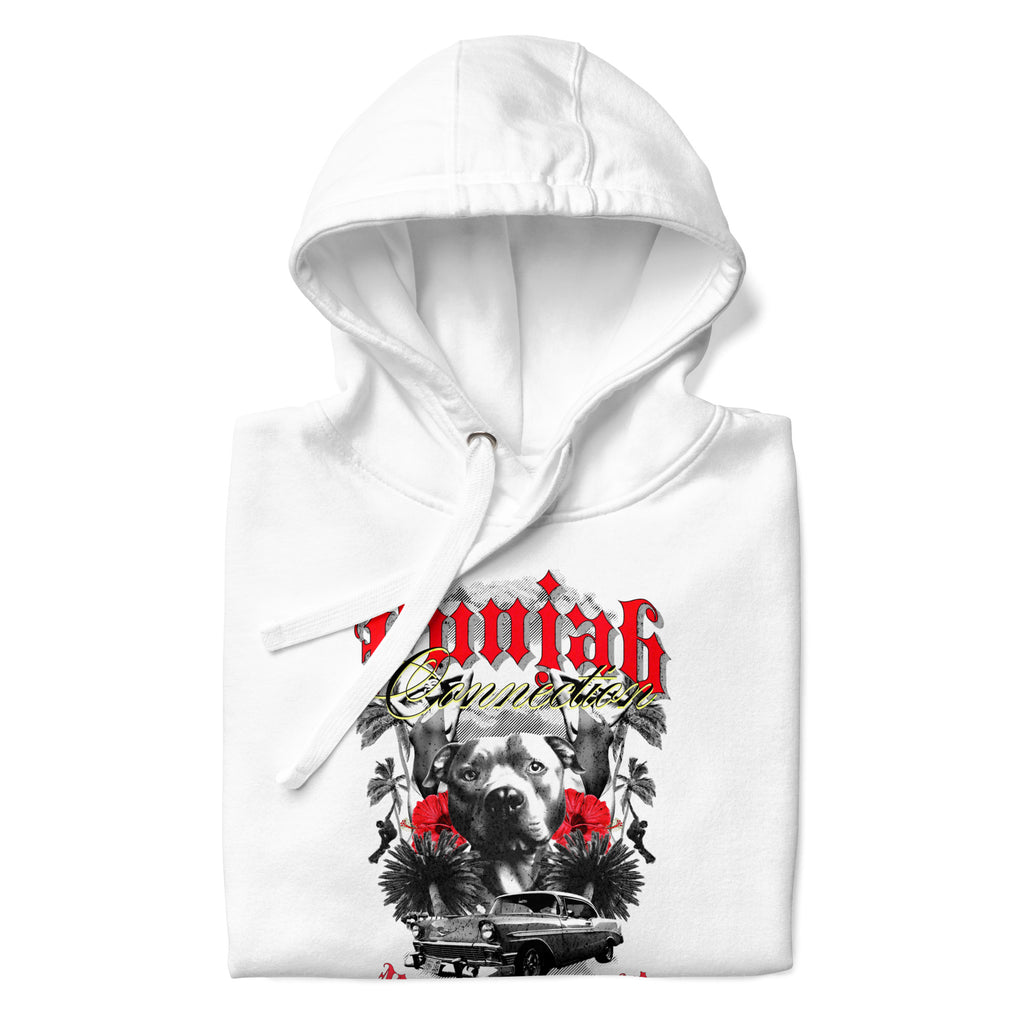 Punjab_Connection_DMERCHS_Hoodie