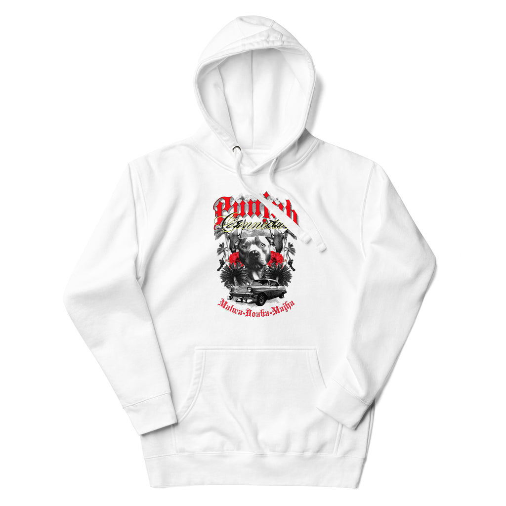 Punjab_Connection_DMERCHS_Hoodie