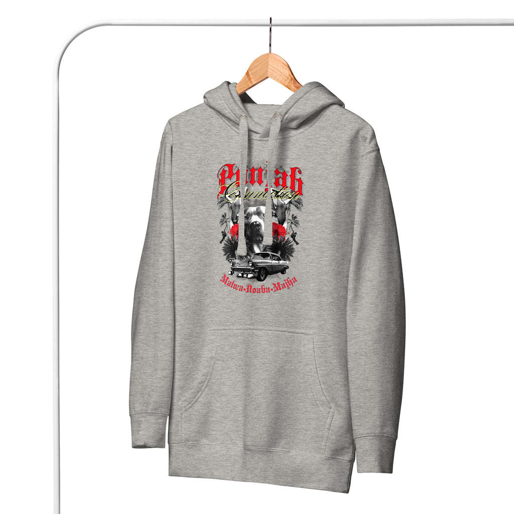 Punjab_Connection_DMERCHS_Hoodie