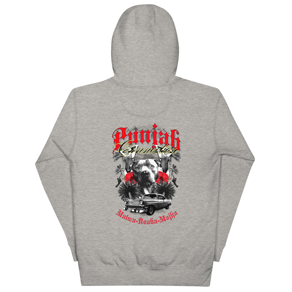 Punjab_Connection_DMERCHS_Hoodie