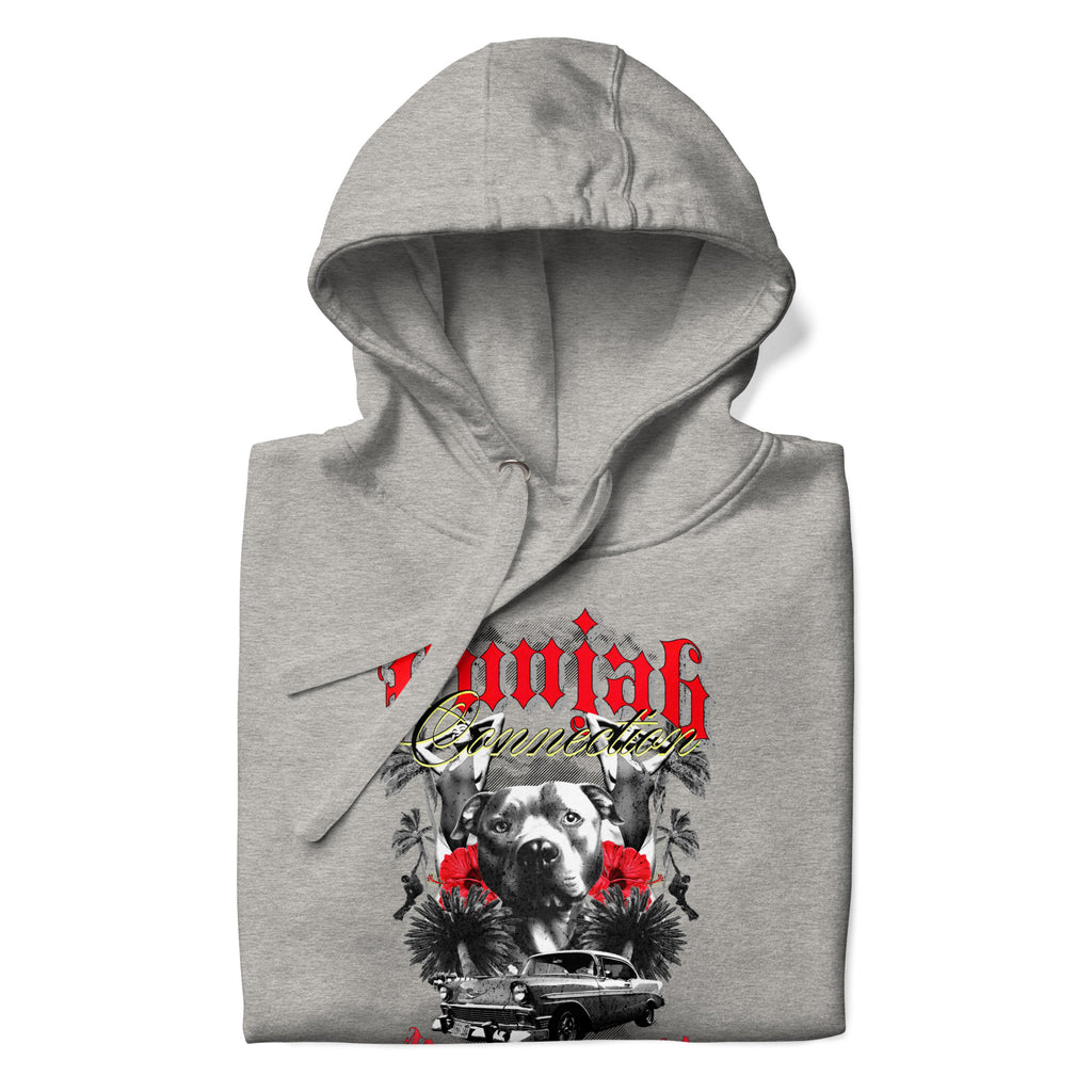 Punjab_Connection_DMERCHS_Hoodie