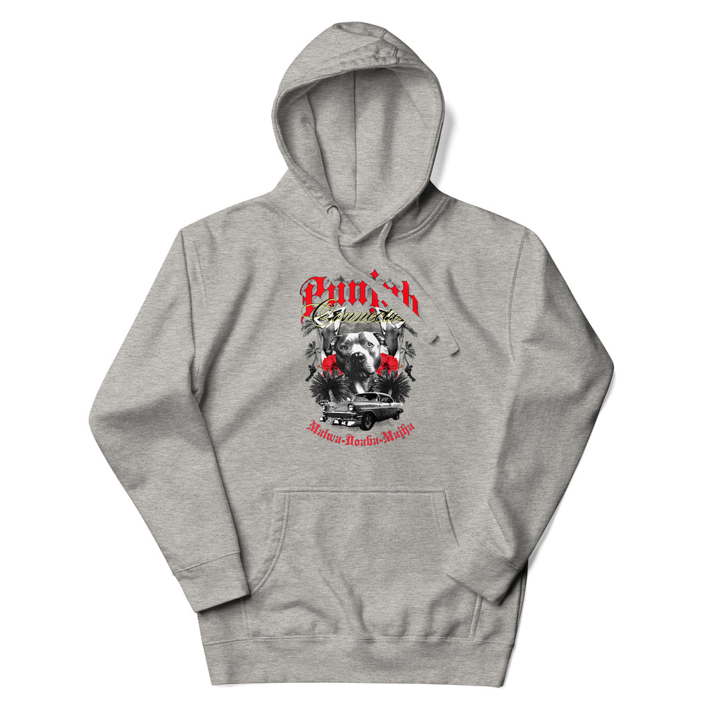 Punjab_Connection_DMERCHS_Hoodie